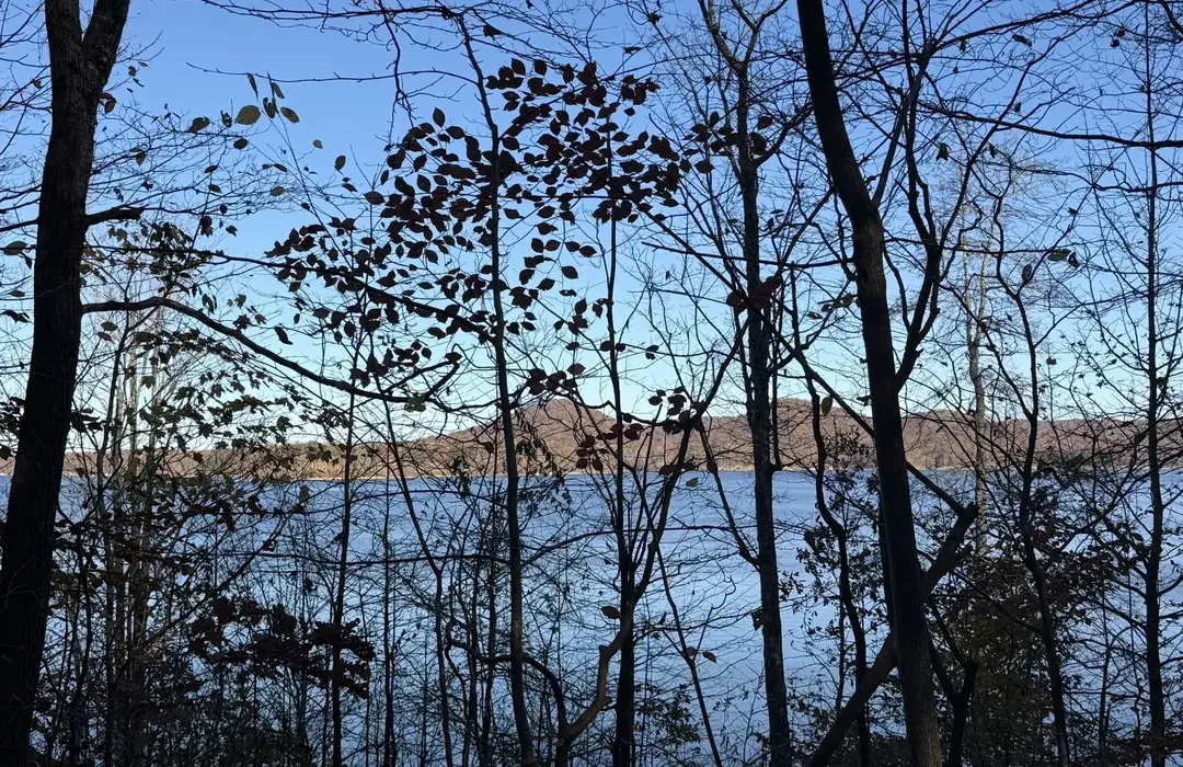Cave Run Lake through the trees on Buckskin Trail