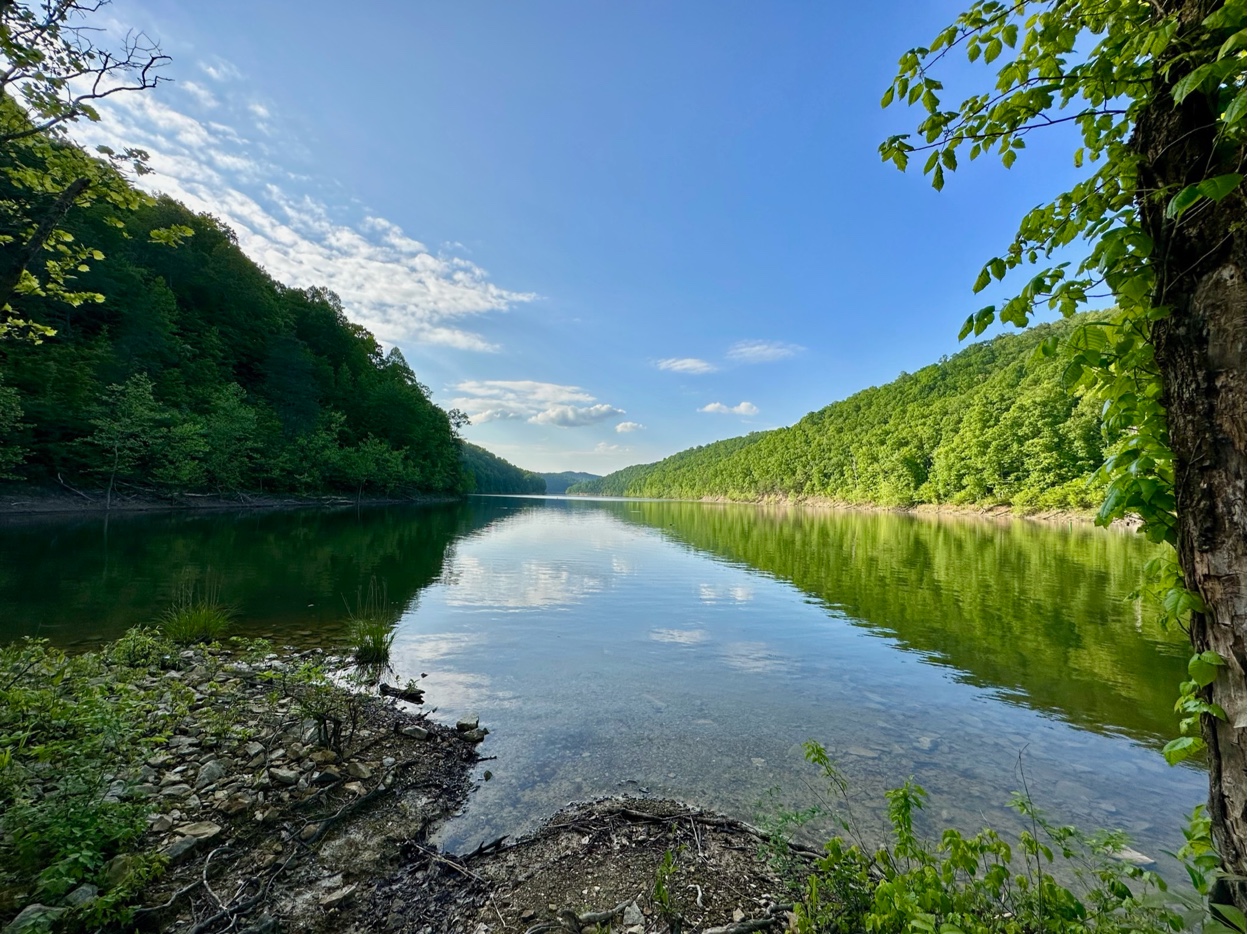 Cave Run Lake surrounded by lush Kentucky forest